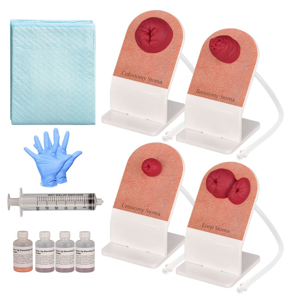 Ostomy Care Training Kit with 4 Stoma Models on Individual Stands