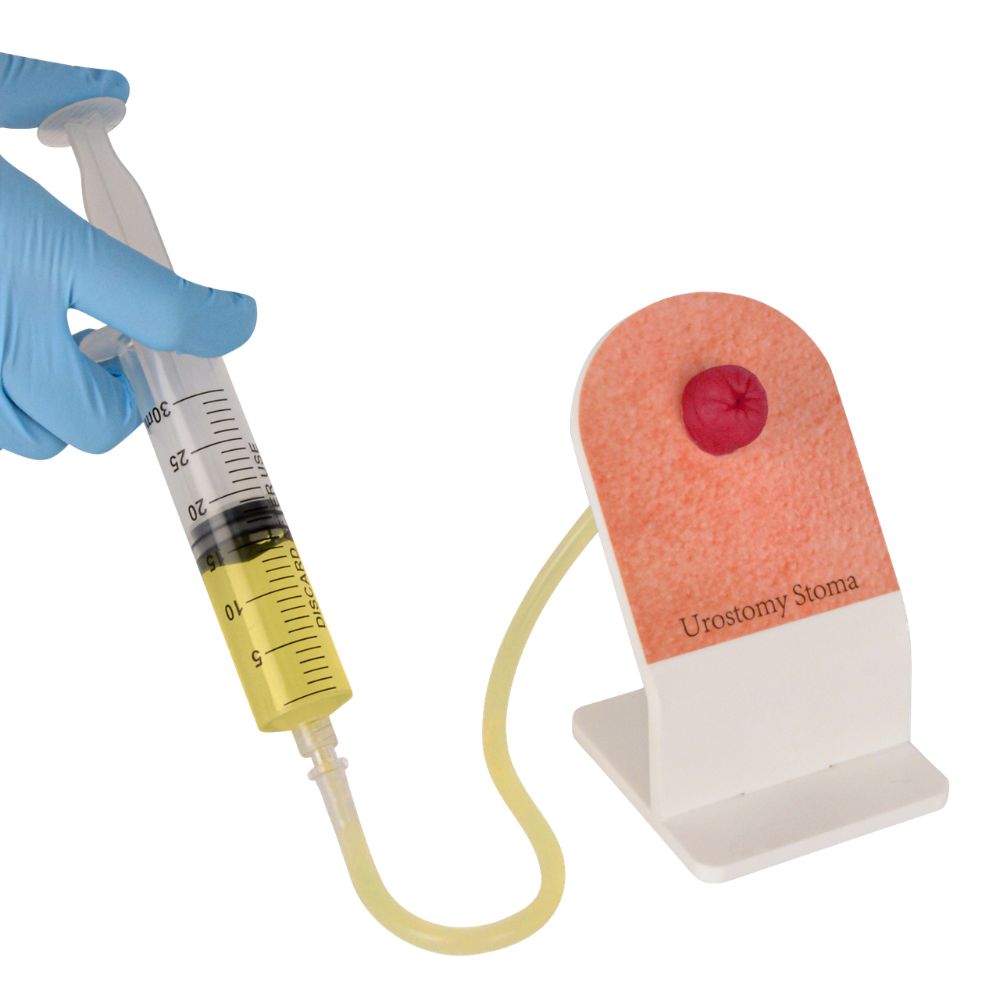 Ostomy Care Training Kit with 4 Stoma Models on Individual Stands