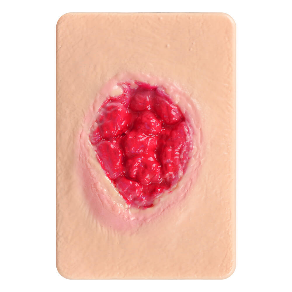 Granulation Tissue Wound Simulation Models Set