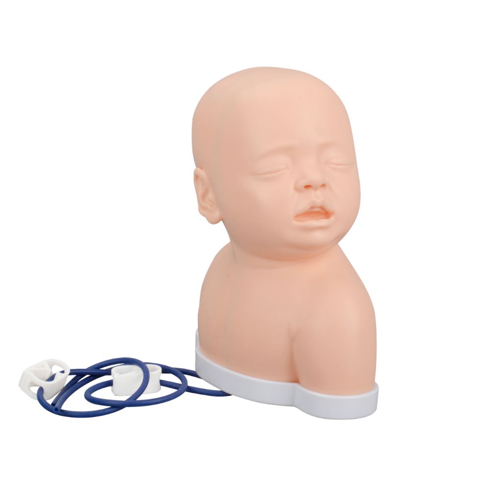 Ultrassist Pediatric IV and Phlebotomy Head Practice Kit