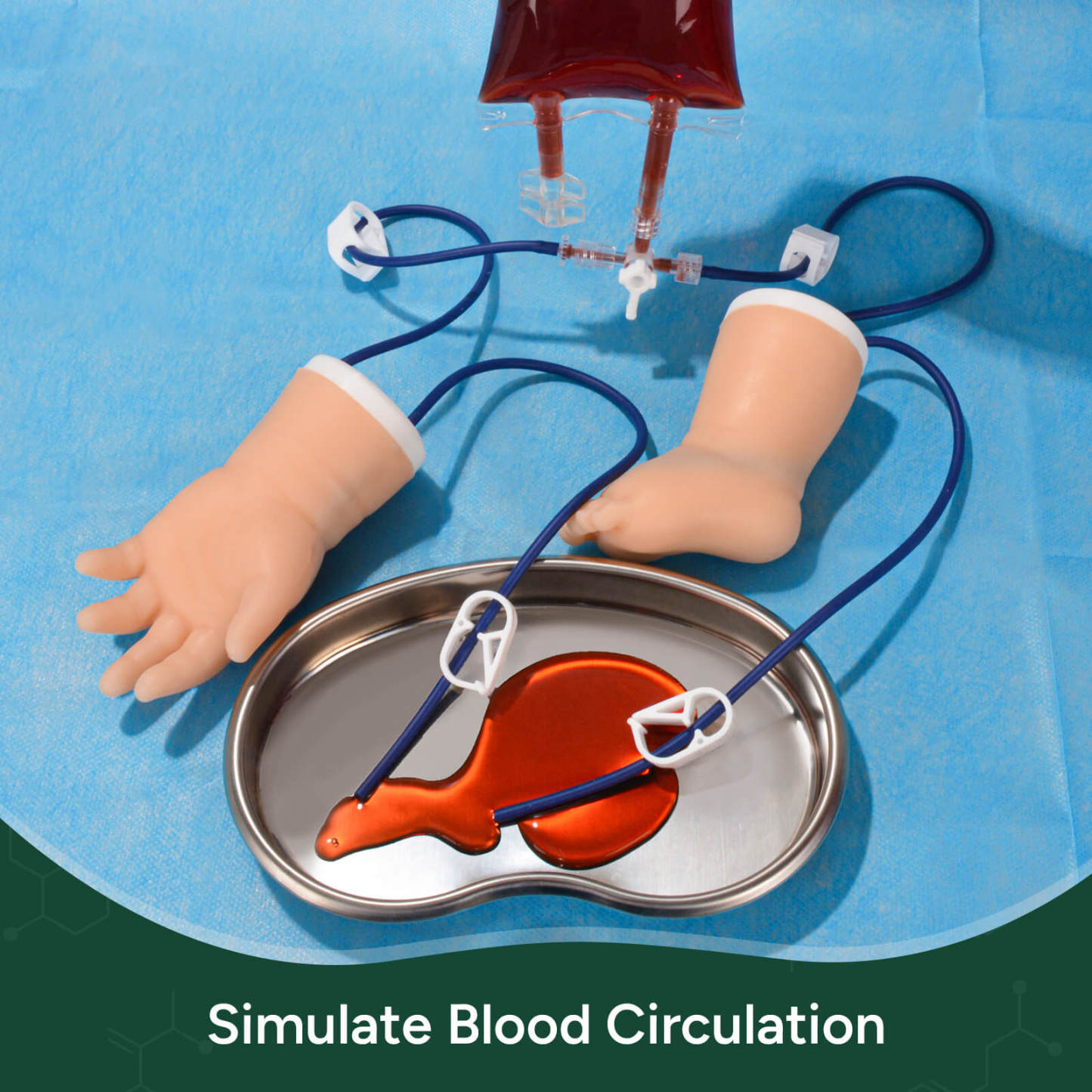 Ultrassist Pediatric IV Practice Kit – Short Infant Hand & Foot Model