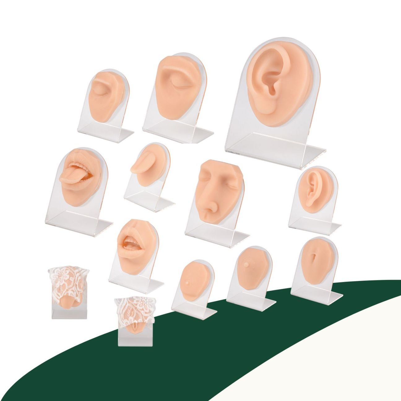 Silicone Body Parts for Piercing Practice and Display – Ultrassist