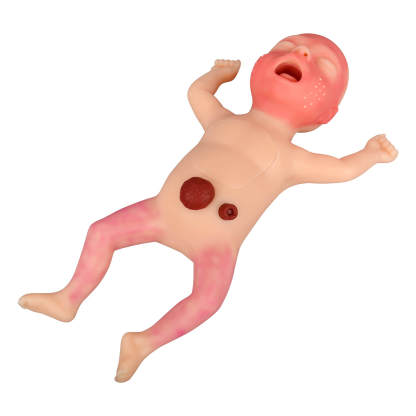 Premature Infant Nursing Trainer Kit