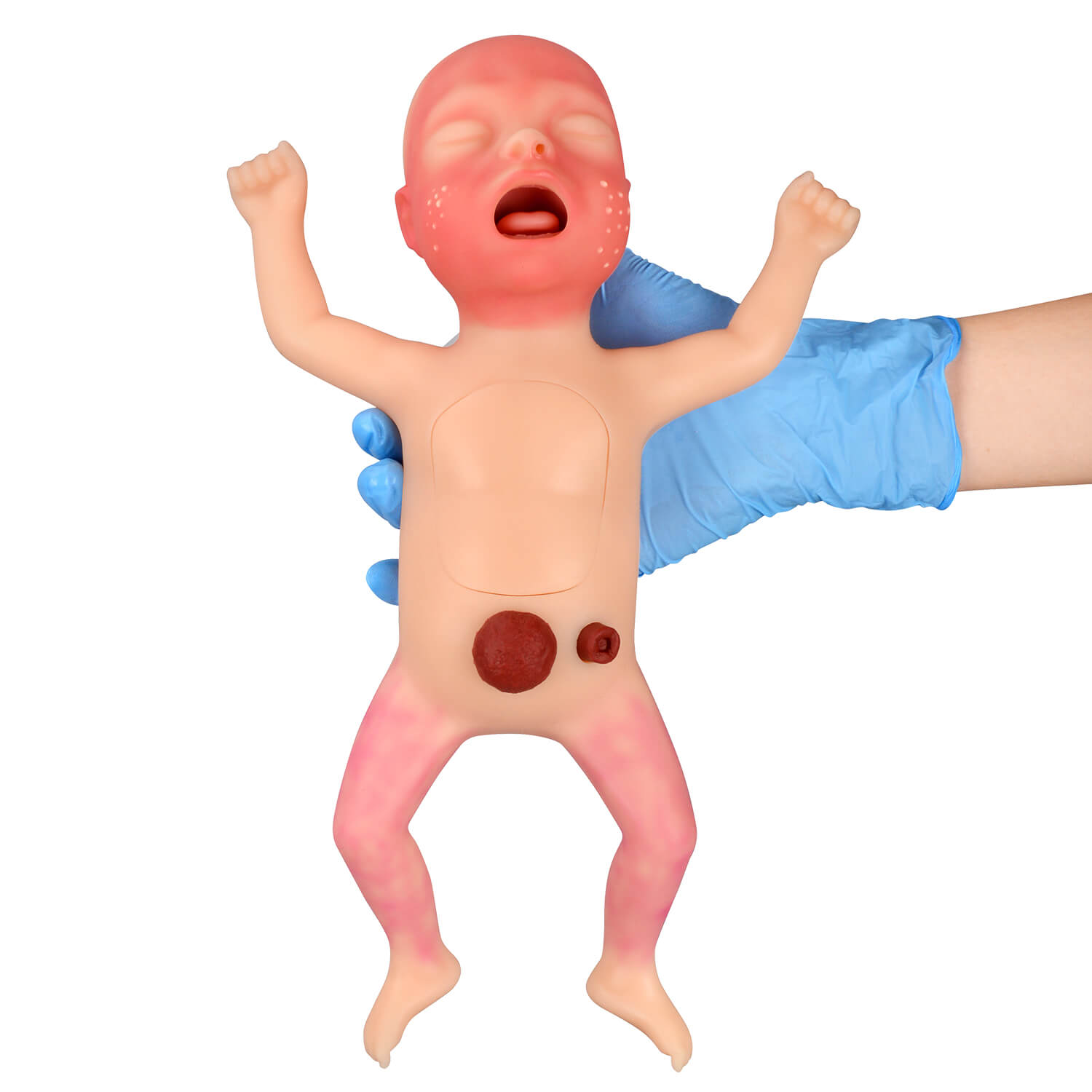 Premature Infant Nursing Trainer Kit