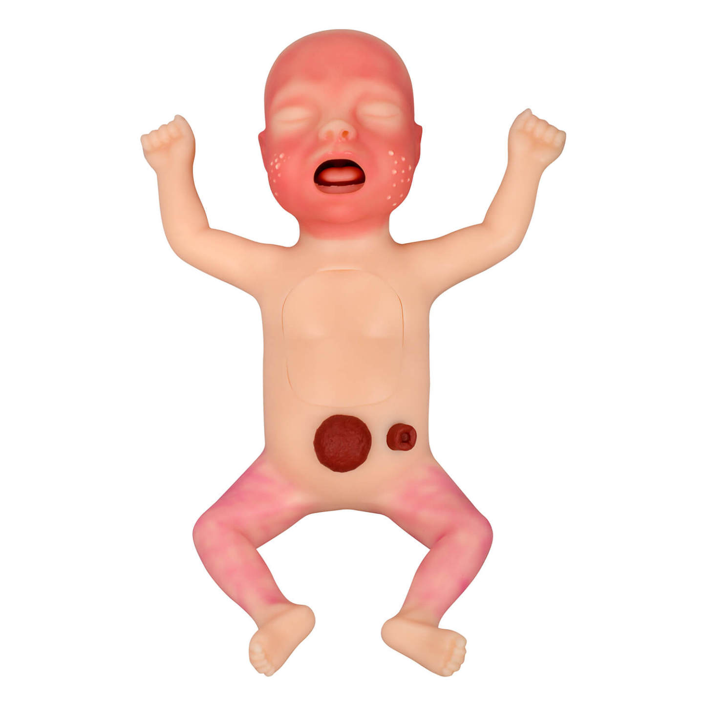 Premature Infant Nursing Trainer Kit
