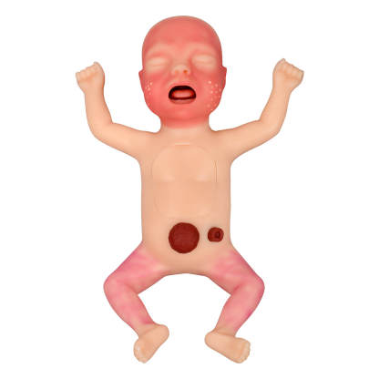 Premature Infant Nursing Trainer Kit