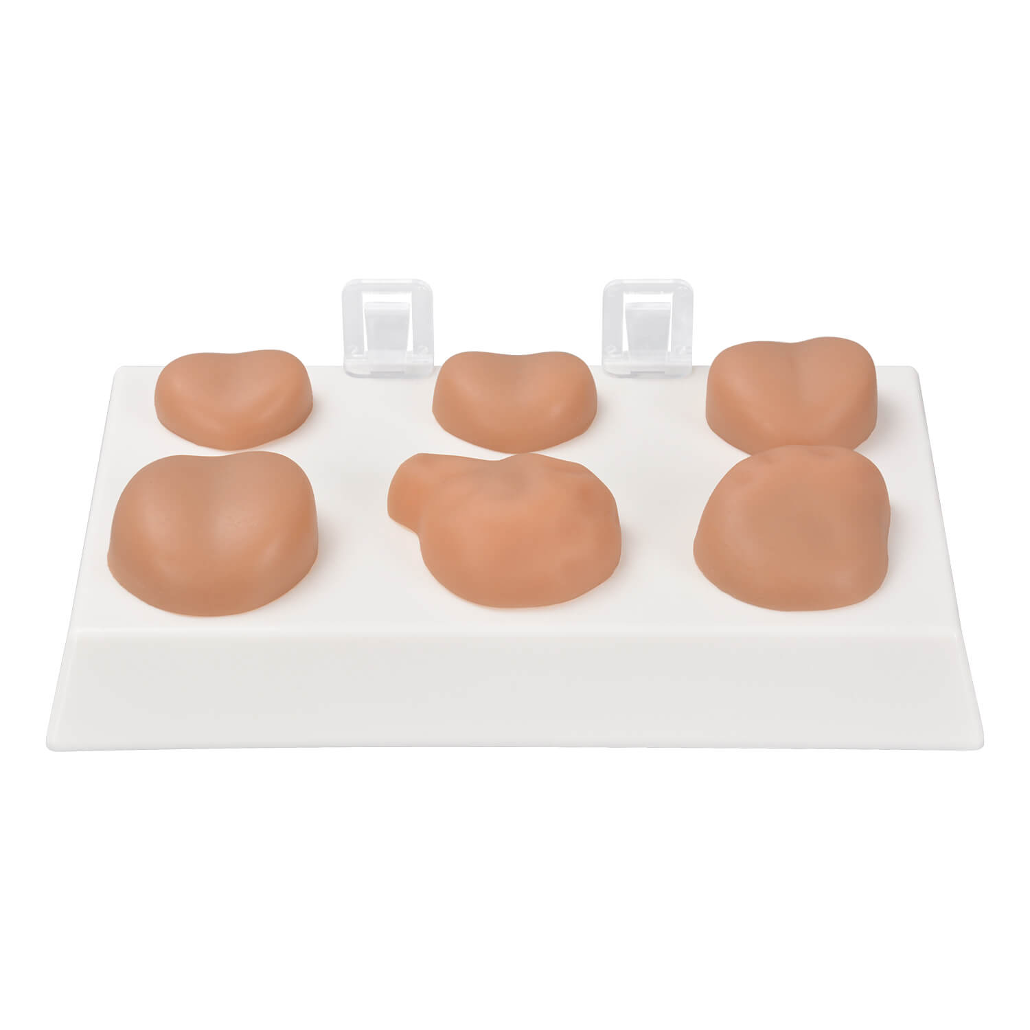 Prostate Examination Training Model with Normal & 5 Pathological Variants