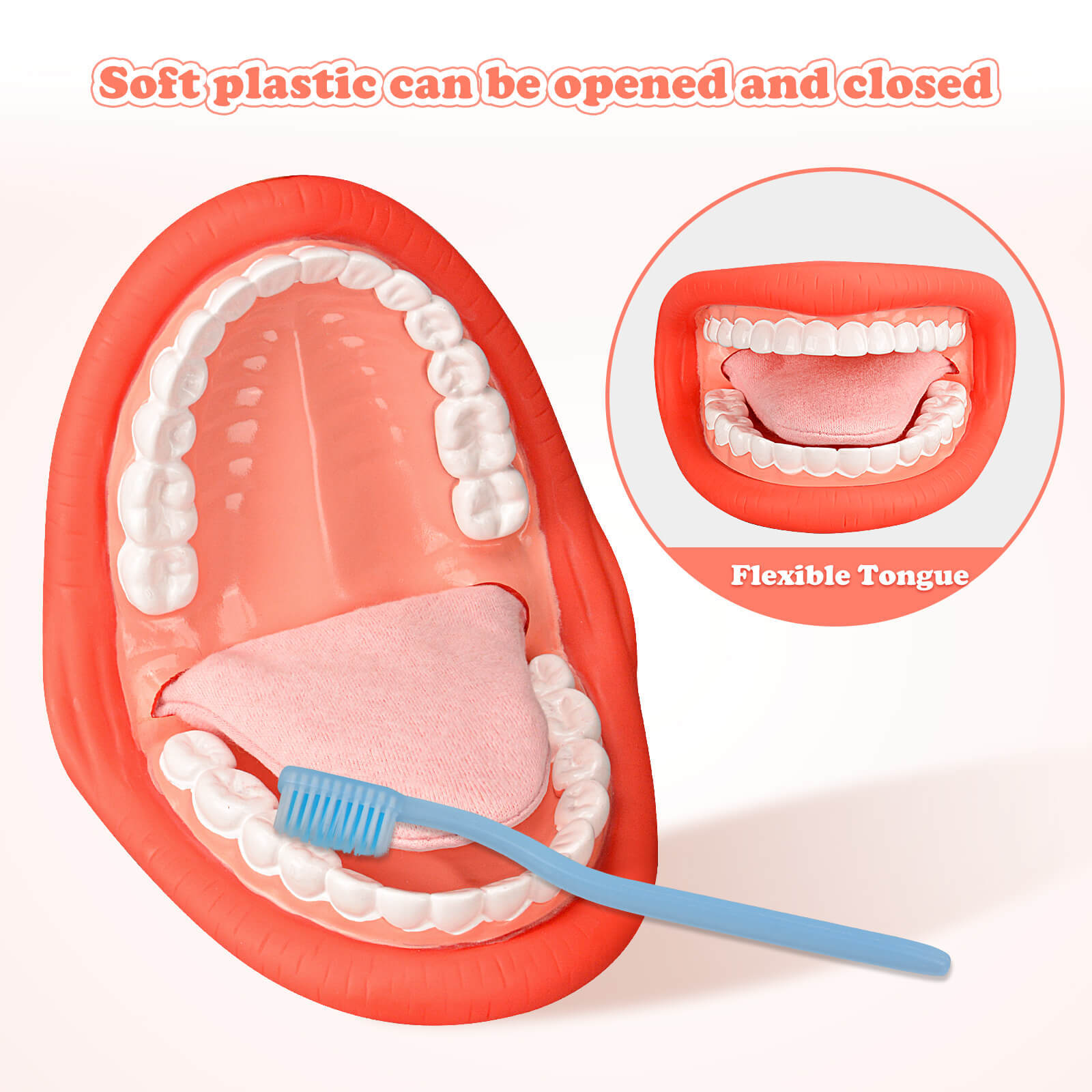 Mouth Models & Puppets for Speech Therapy – Ultrassist