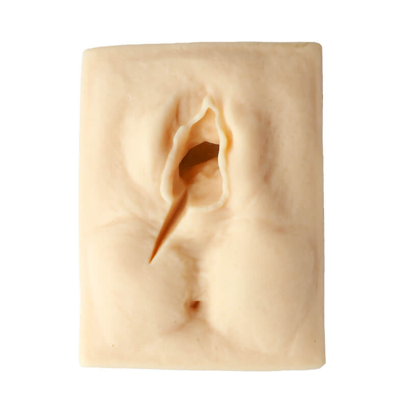 Female Perineal Suture Practice Models, Set of 3