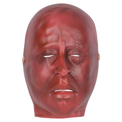 Wearable Facial Severe Burn Training Mask