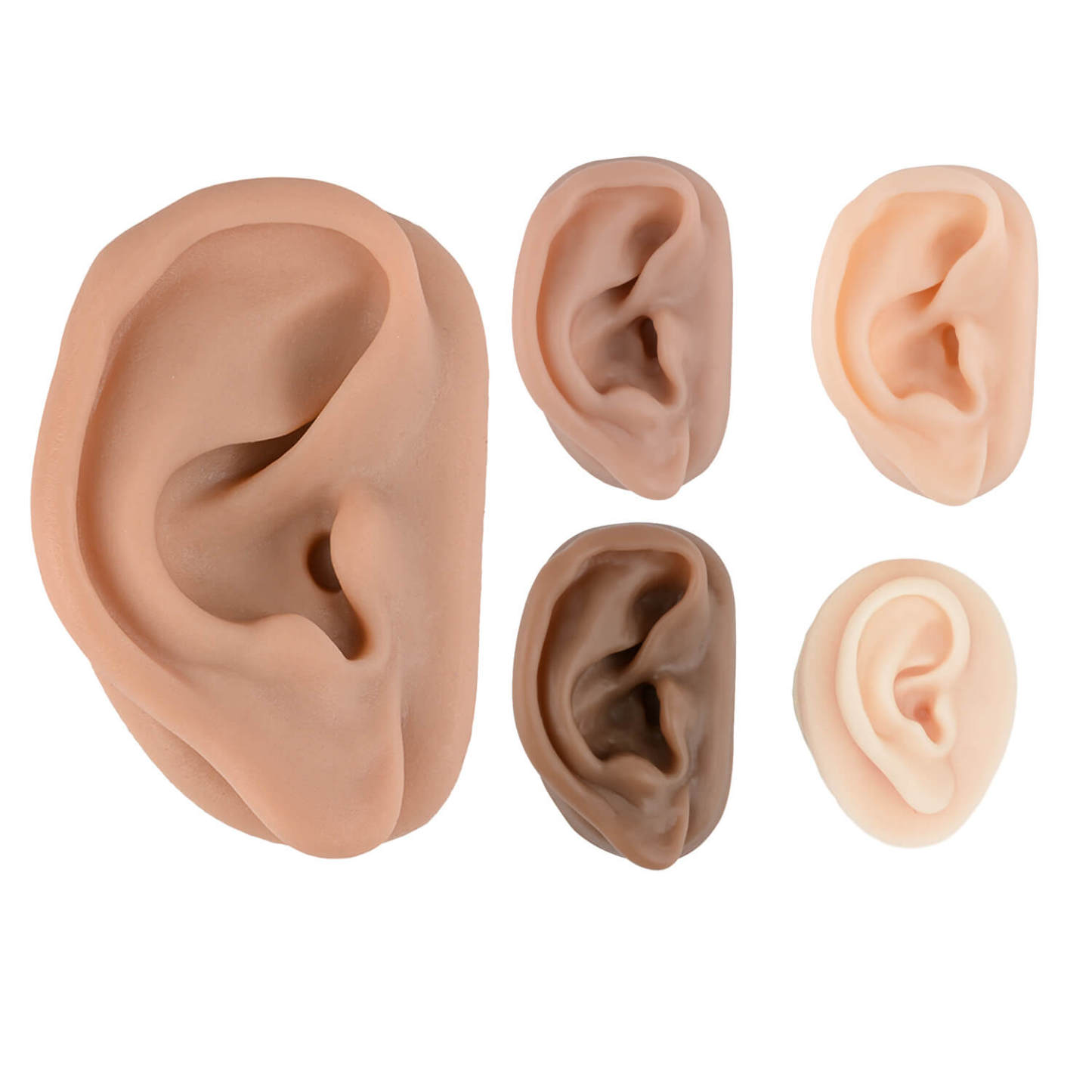 Ultrassist Silicone Acupuncture Ear Model for Auricular Training