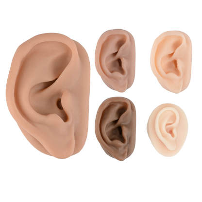 Ultrassist Silicone Acupuncture Ear Model for Auricular Training
