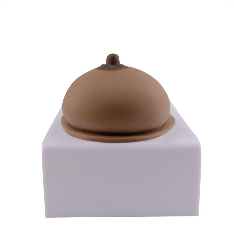 Realistic Silicone Breast Breastfeeding Education Model with Base