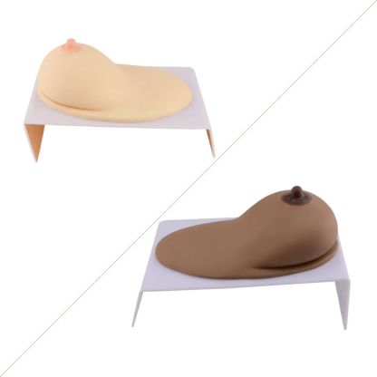Silicone Breast Lactation Education Model with Base