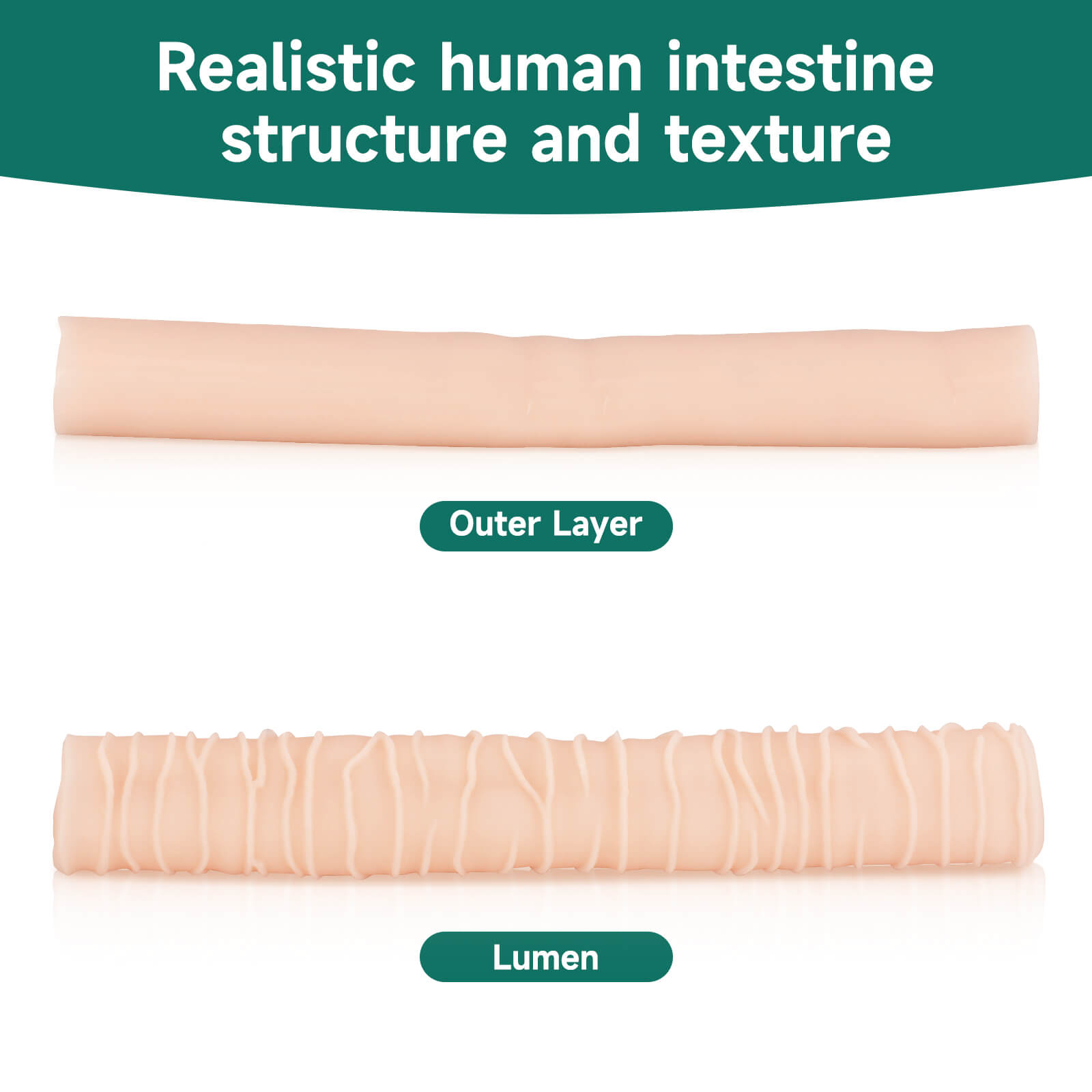 Ultrassist Silicone Intestinal Suture Training Kit | GI Surgery Simulator