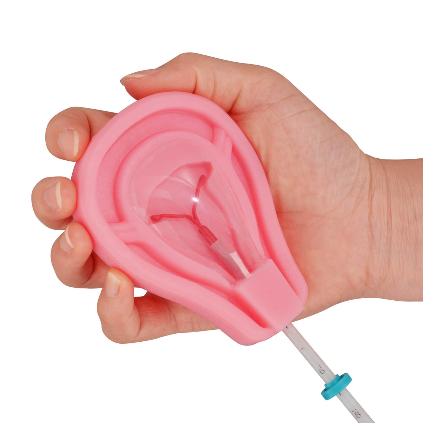 Silicone IUD Placement Model