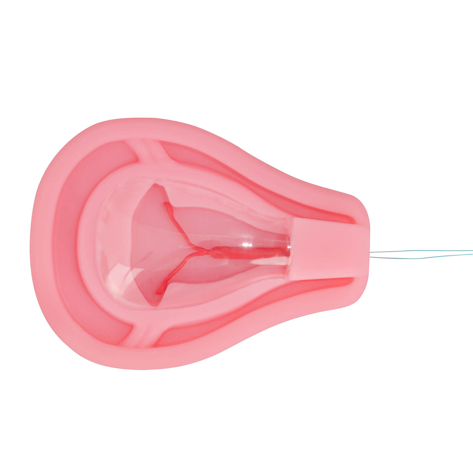 Silicone IUD Placement Model