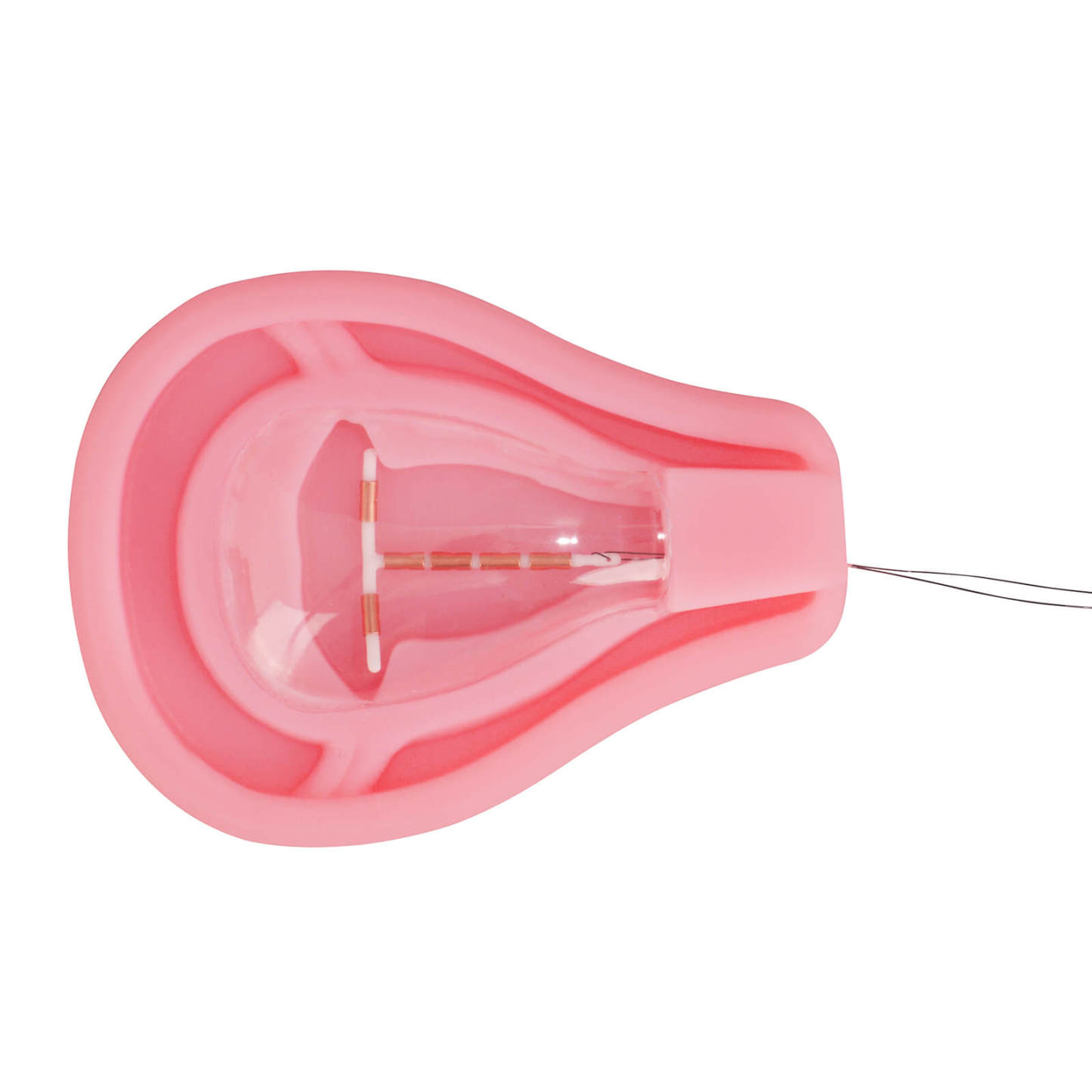 Silicone IUD Placement Model
