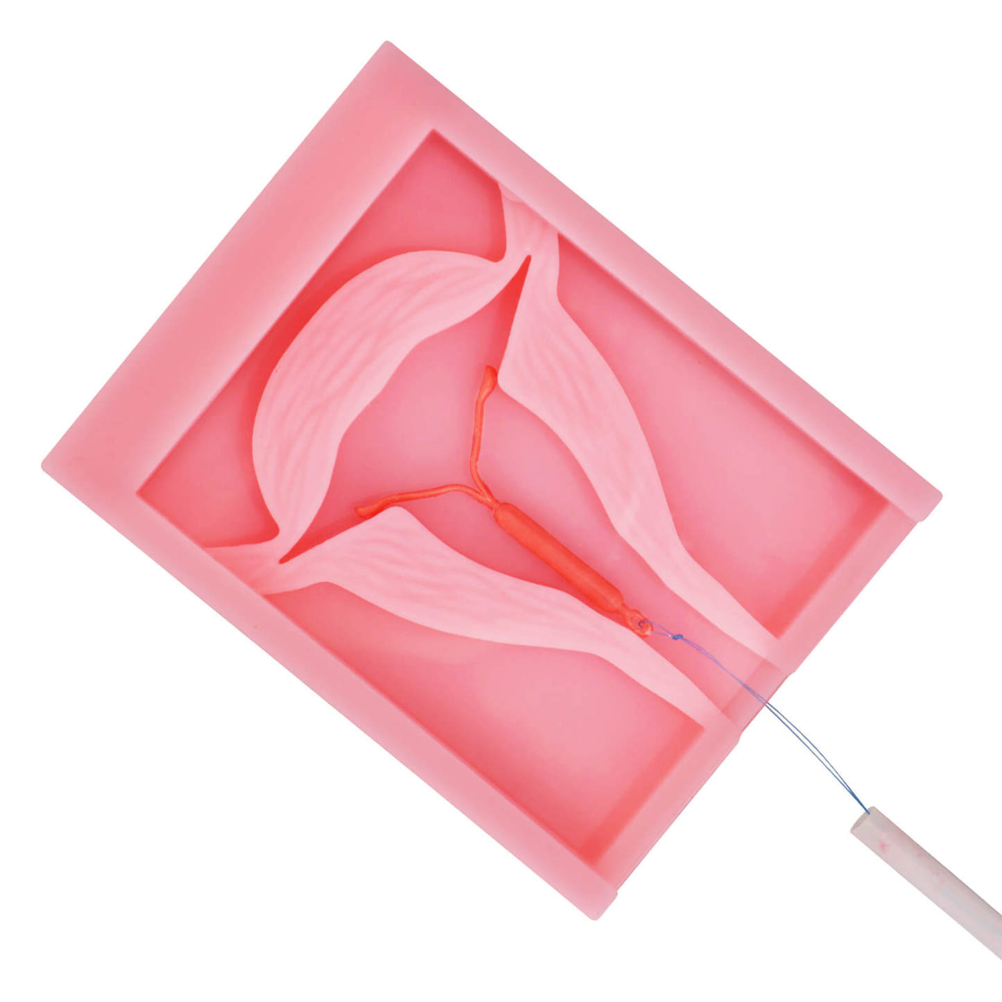 Square Silicone IUD Training Model