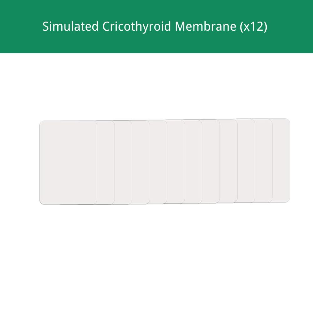 Neck Skin and Simulated Cricothyroid Membranes Replacement for Cricothyrotomy Task Trainer