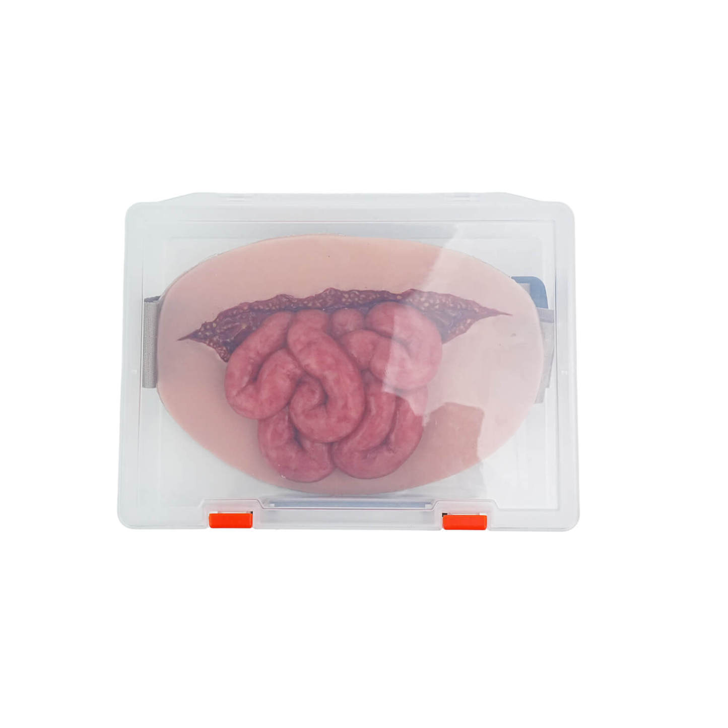 Wearable Small Intestinal Evisceration Abdominal Wound Model