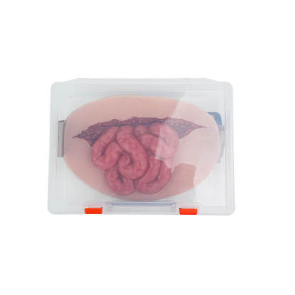 Wearable Small Intestinal Evisceration Abdominal Wound Model