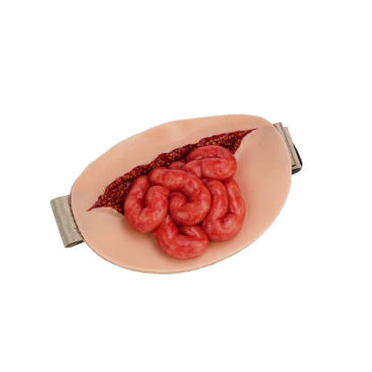 Eviscerated Small Intestine Simulator