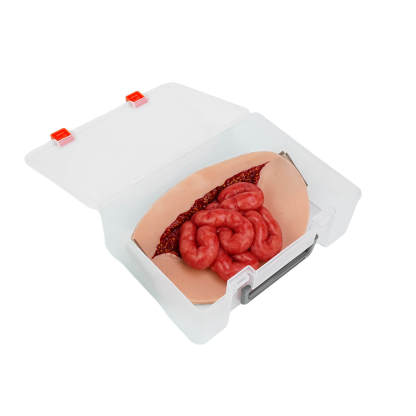 Wearable Small Bowel Evisceration Abdominal Wound Simulator