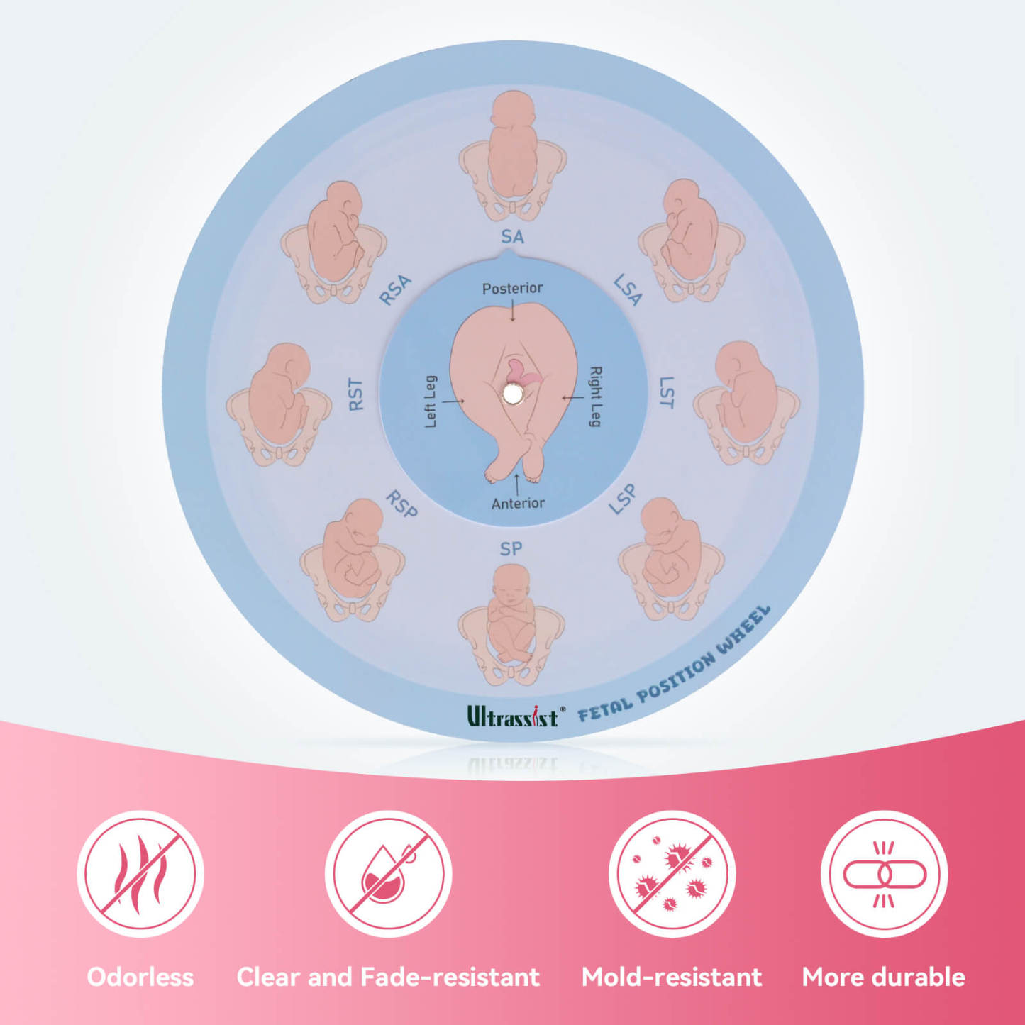 Midwife Fetal Position Tool - Cephalic & Breech