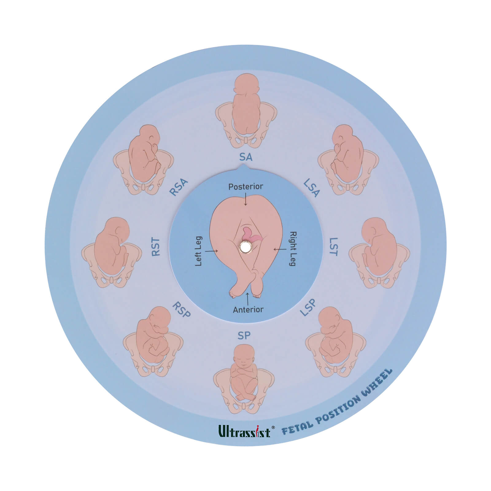Midwife Fetal Position Tool - Cephalic & Breech