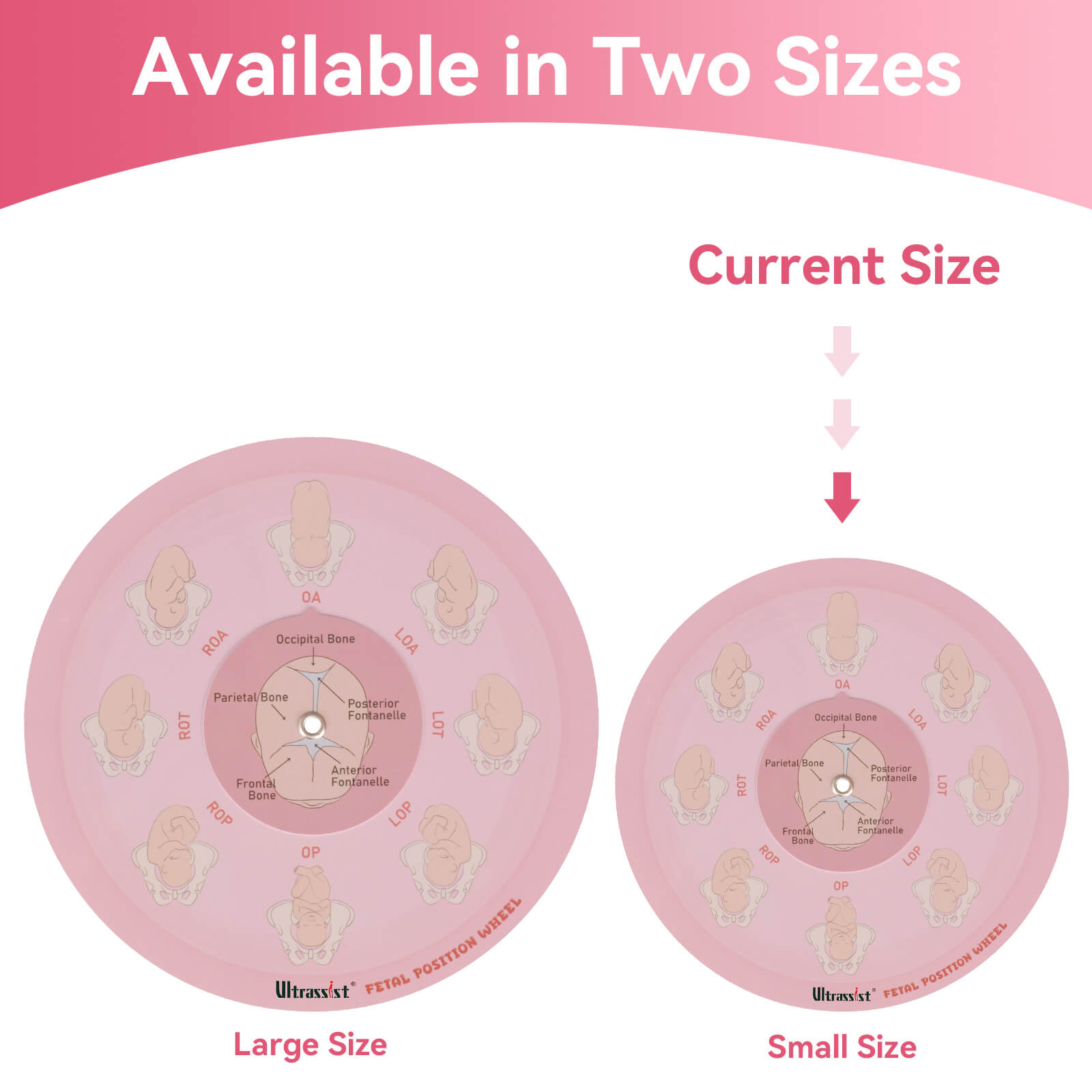 Midwife Fetal Position Tool - Cephalic & Breech
