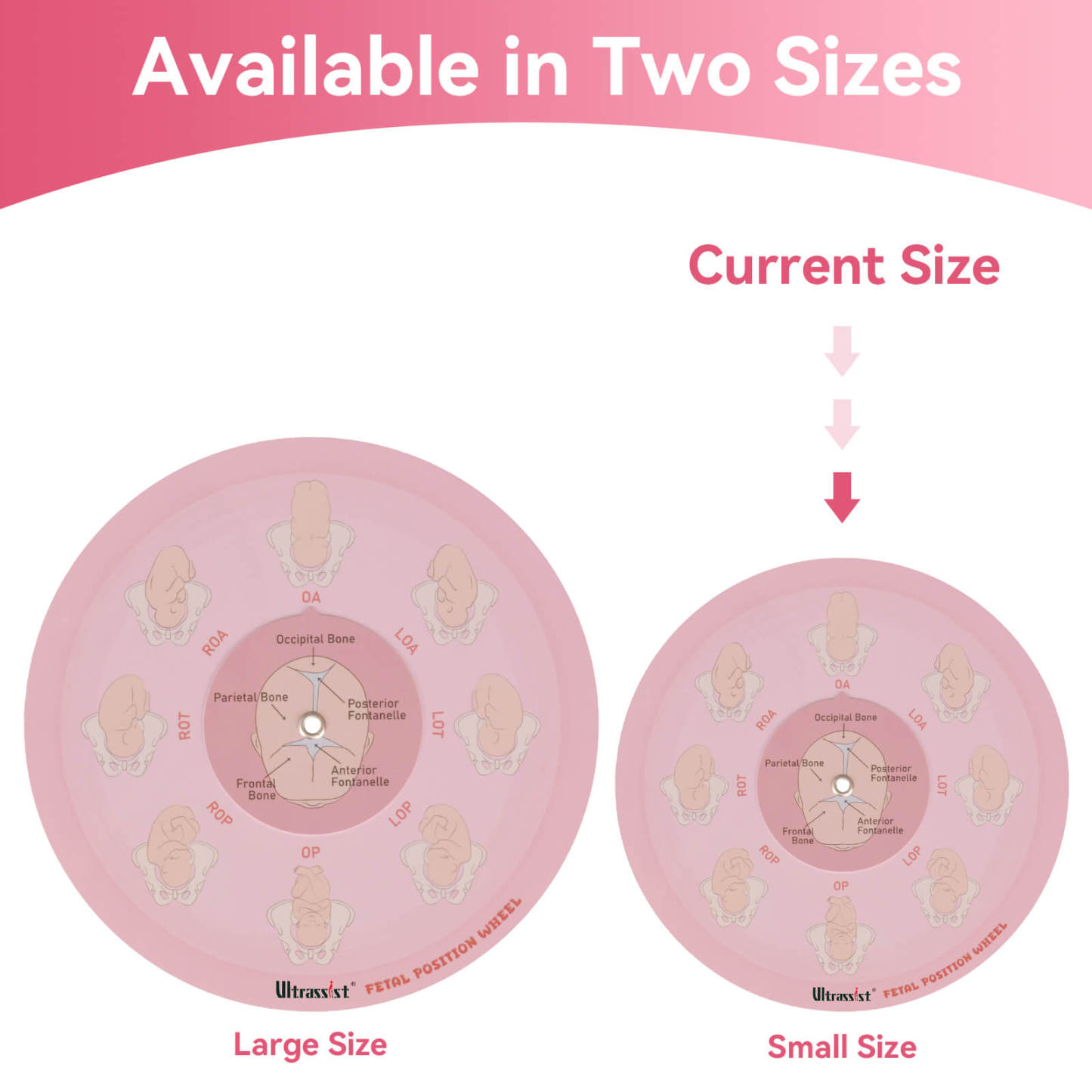 Midwife Fetal Position Tool - Cephalic & Breech
