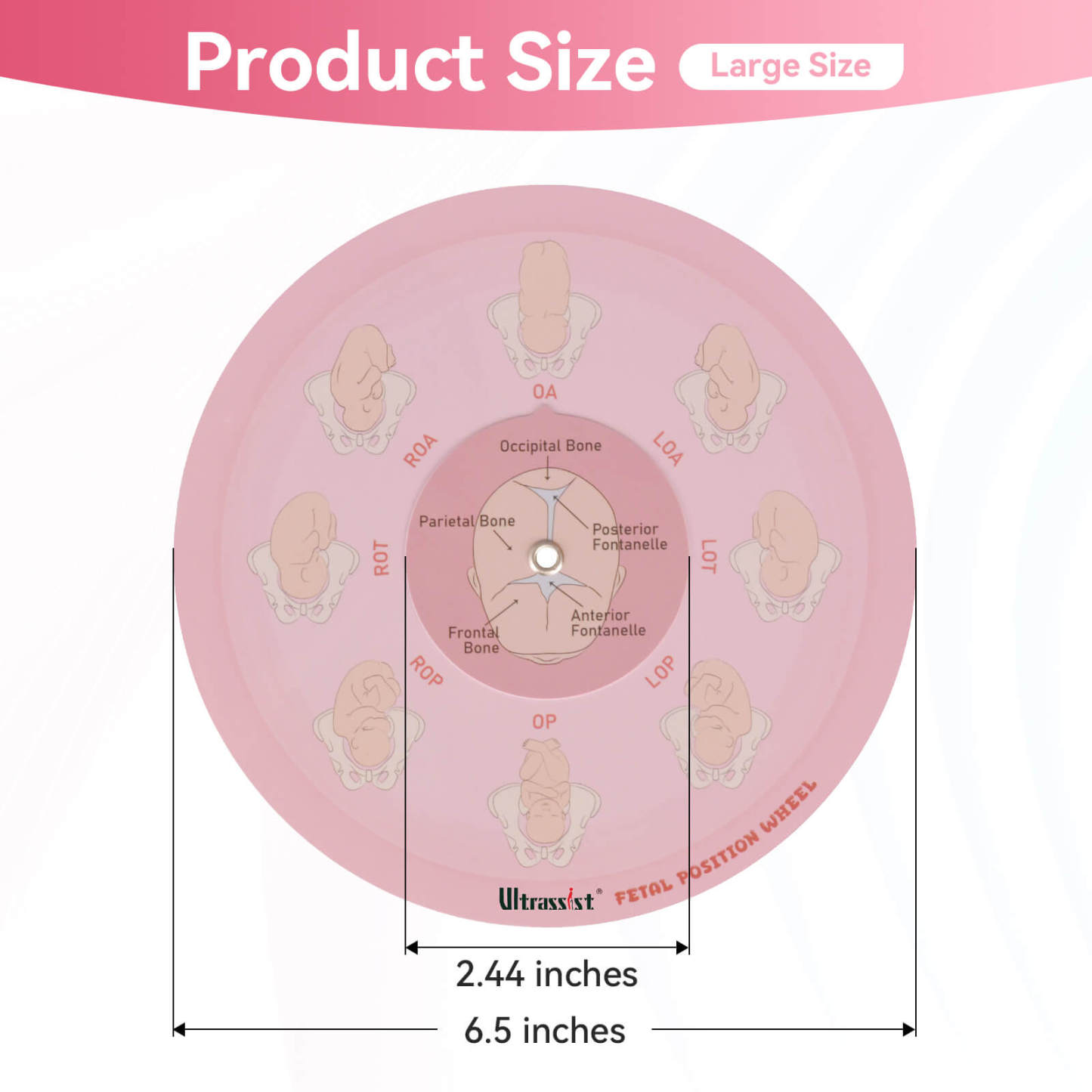 Midwife Fetal Position Tool - Cephalic & Breech