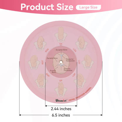 Midwife Fetal Position Tool - Cephalic & Breech