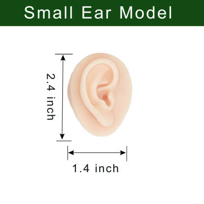 Small Silicone Acupuncture Ear Model Size