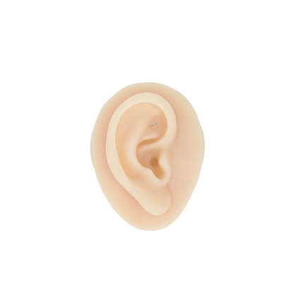 Small Silicone Acupuncture Ear Model