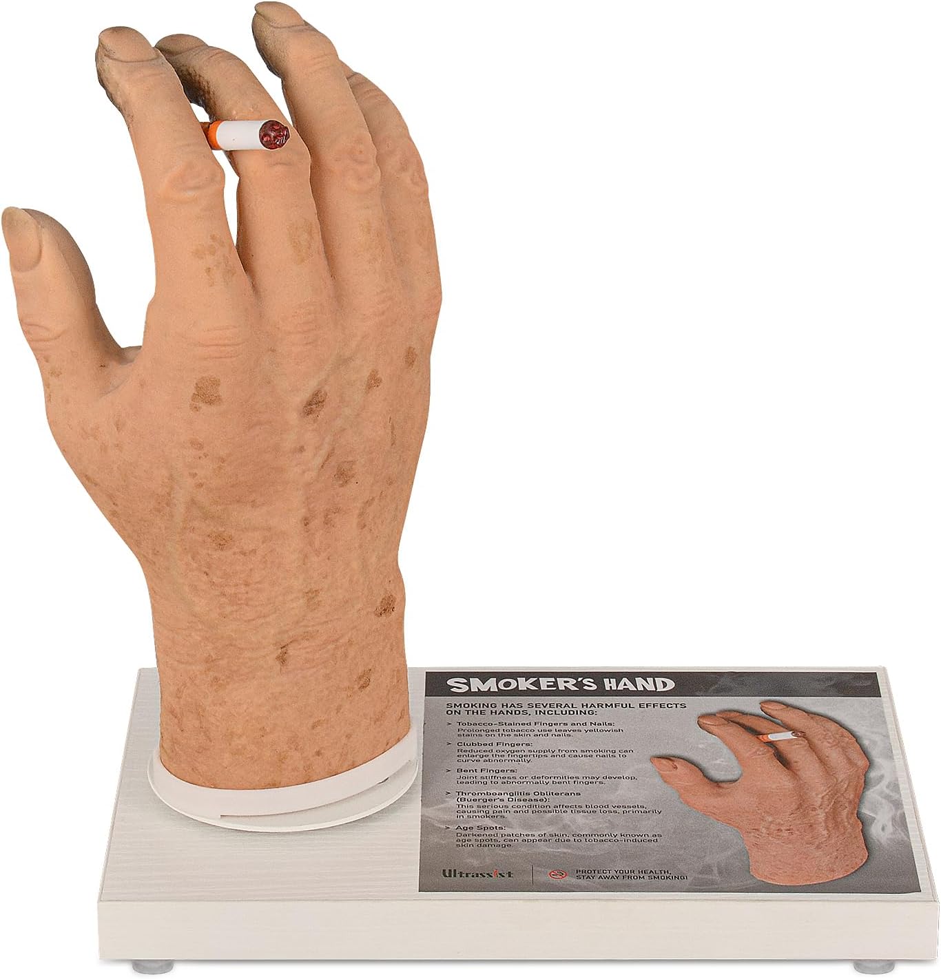 Ultrassist Smoker's Hand Model for Anti-Smoking Education