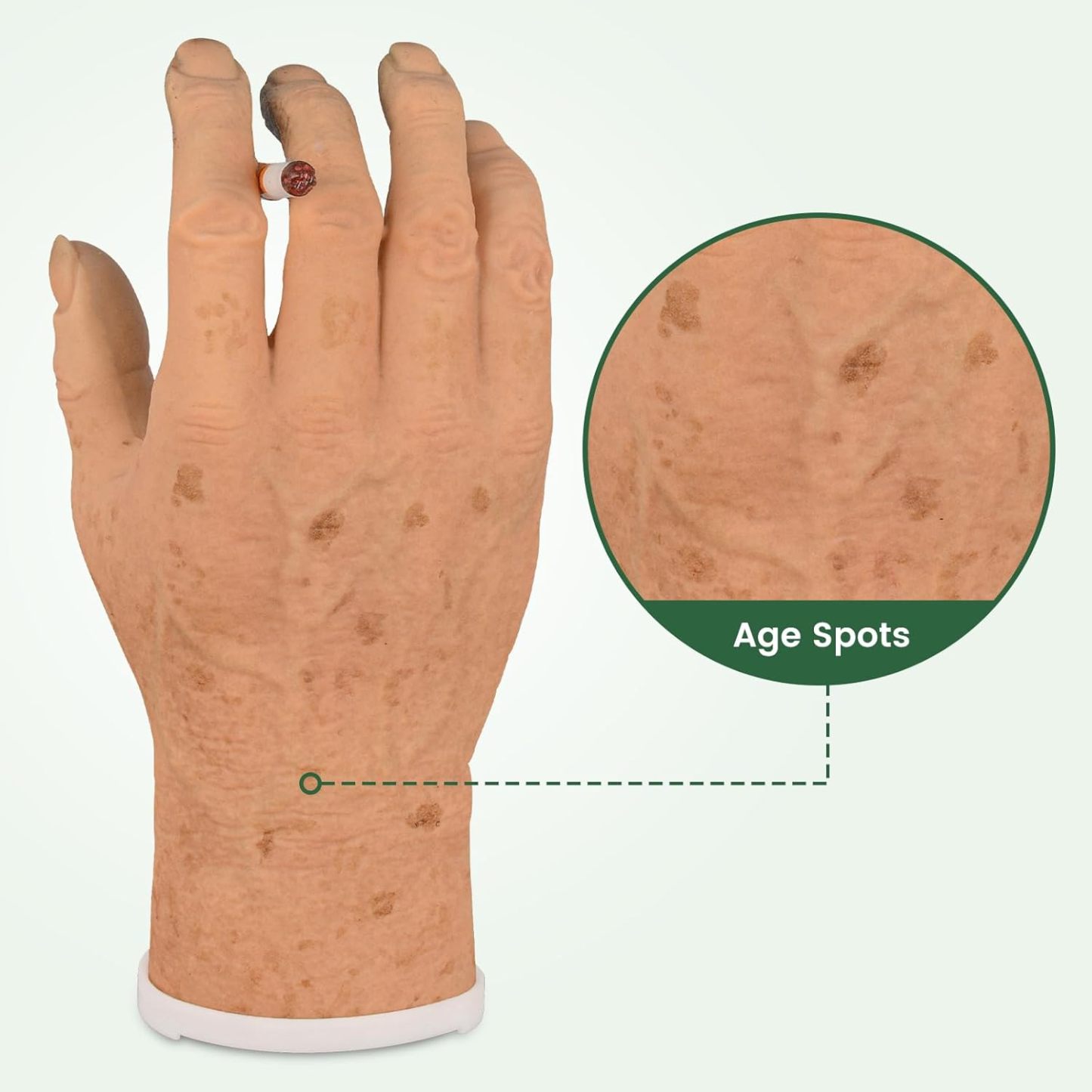 Ultrassist Smoker's Hand Model for Anti-Smoking Education