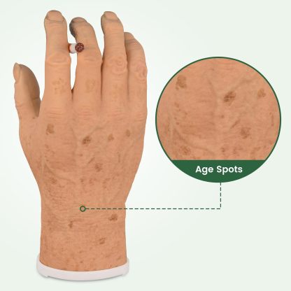 Ultrassist Smoker's Hand Model for Anti-Smoking Education