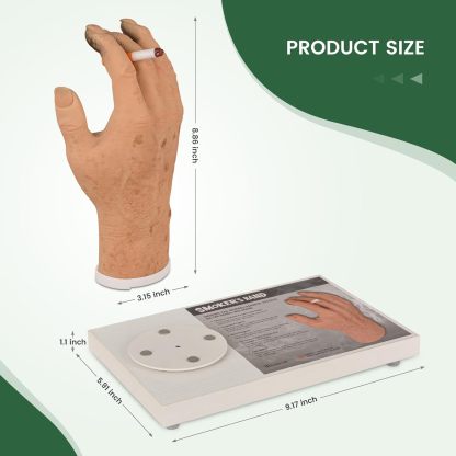 Ultrassist Smoker's Hand Model for Anti-Smoking Education