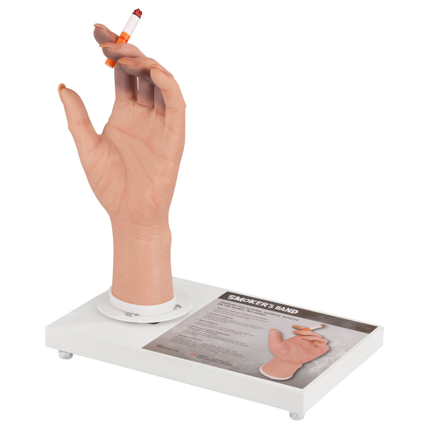 Female Smoking Hand Display Model with Rotating Magnetic Tray 