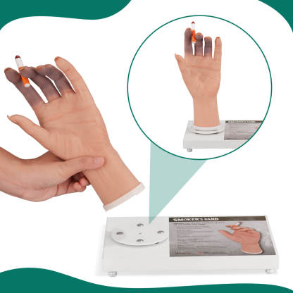 Female Smoking Hand Display Model with Rotating Magnetic Tray 