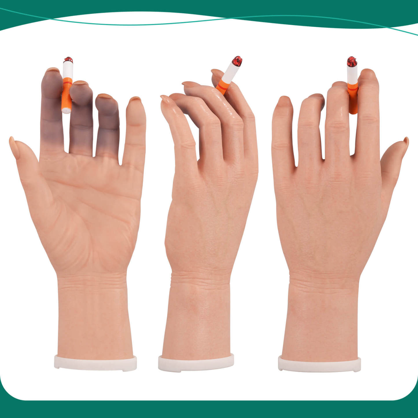Female Smoking Hand Model with Ultra-Realistic Pathology Display