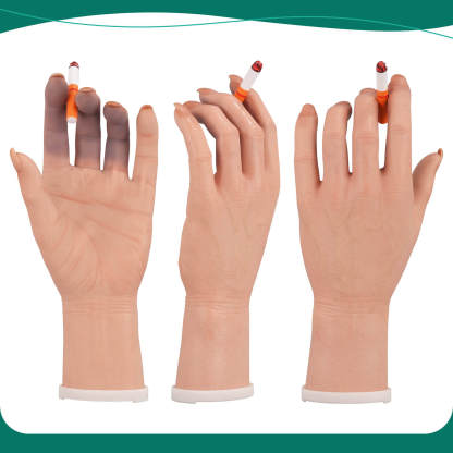 Female Smoking Hand Model with Ultra-Realistic Pathology Display