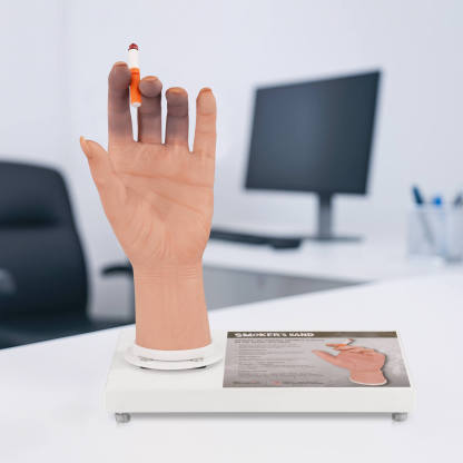Female Smoker's Hand Display Model for Anti-Smoking Education