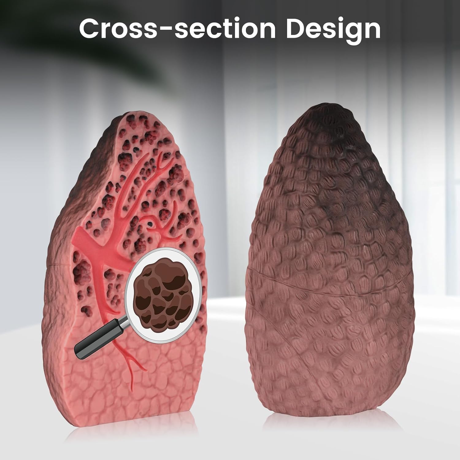tobacco tar in lungs Ultrassist Smoking Lung Model with Tar Damage (Cross-Section)