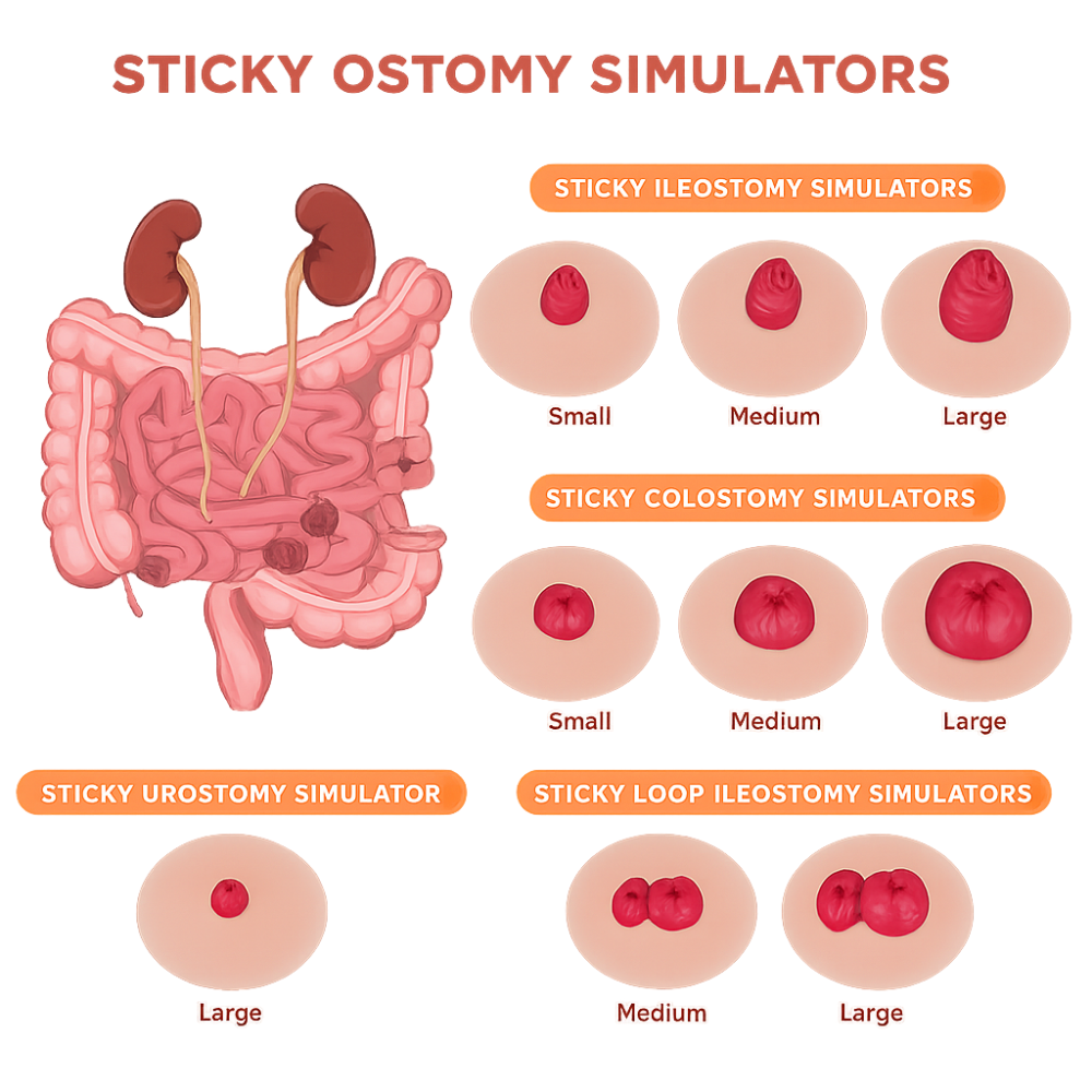 Sticky Ostomy Care Training Simulator Set (9 Stoma Models)