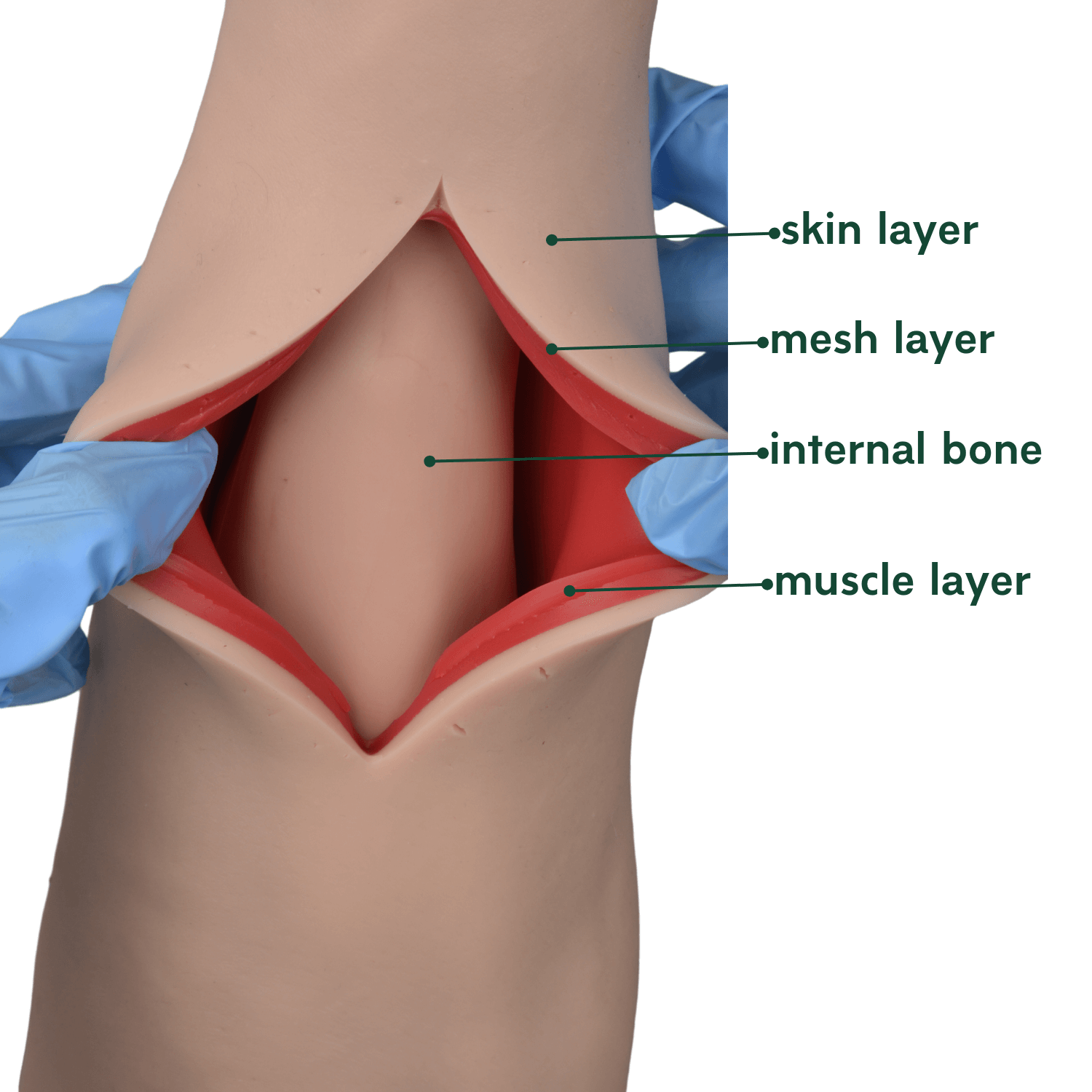 Professional Suturing Practice Arm