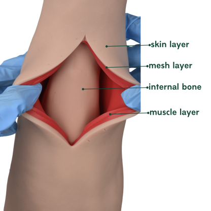 Professional Suturing Practice Arm