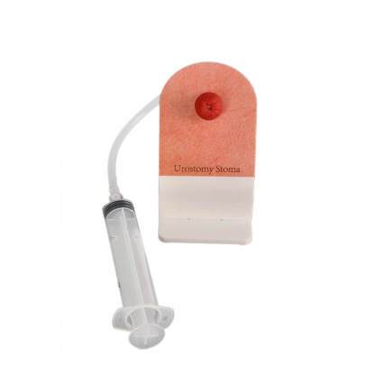 Tabletop Ostomy Care Training Kit with Display Stand